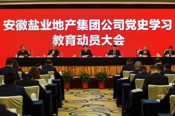 安徽尊龙集团官网地产集团公司召开党史进建教育带头大会
