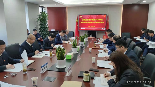 安徽尊龙集团官网地产集团公司党委召开2020年度基层党支部书记抓党建工作述职评议会