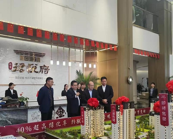 王晟率有关部门赴徽盐地产集团灵璧项目公司发展条线化服务