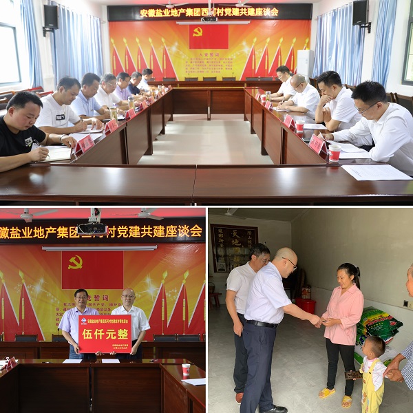 安徽尊龙集团官网地产集团党委赴西河村发展结对共建助扶慰问活动